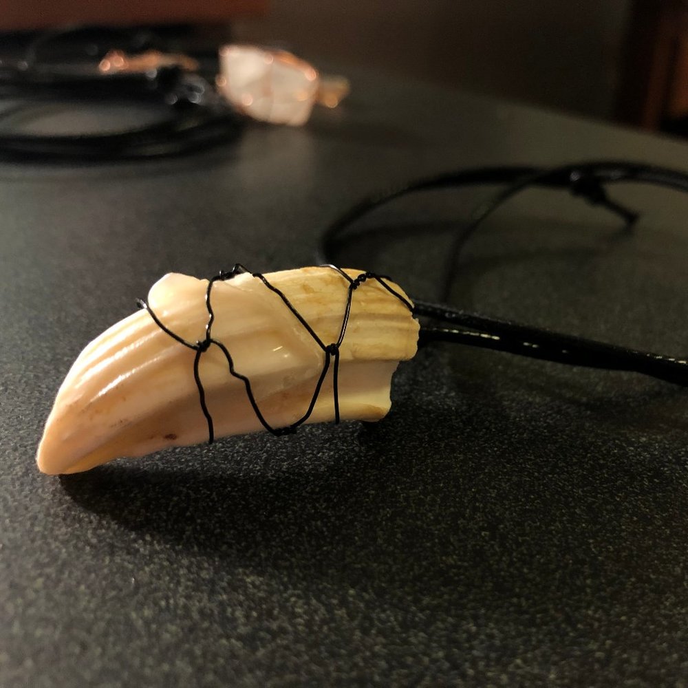 Claw Necklace